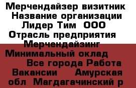 Мерчендайзер-визитник › Название организации ­ Лидер Тим, ООО › Отрасль предприятия ­ Мерчендайзинг › Минимальный оклад ­ 23 000 - Все города Работа » Вакансии   . Амурская обл.,Магдагачинский р-н